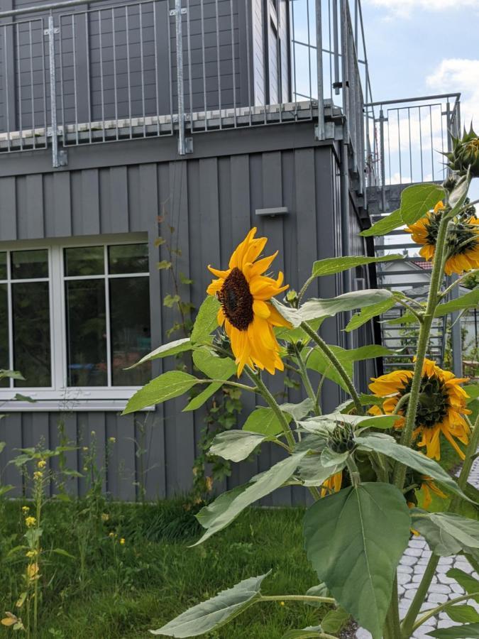 Haus Zur Aach Tinyhouse Uhldingen-Muehlhofen