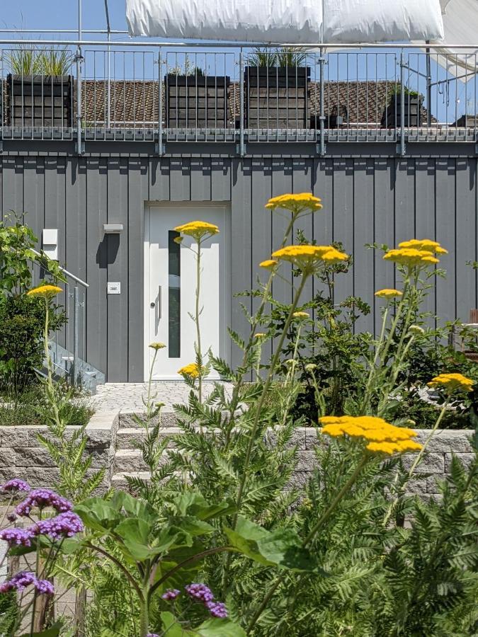 Haus Zur Aach Tinyhouse Uhldingen-Muehlhofen